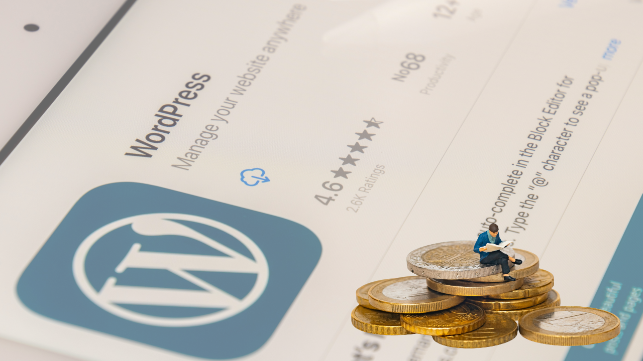 Die Top 10 WordPress Kosten - Was kostet WordPress wirklich?
